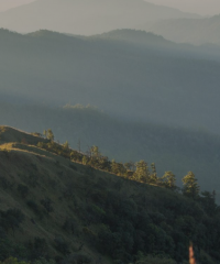 Image of KESAN – Empowering Communities, Securing Peace, Protecting Environment, Land and Livelihood [website]